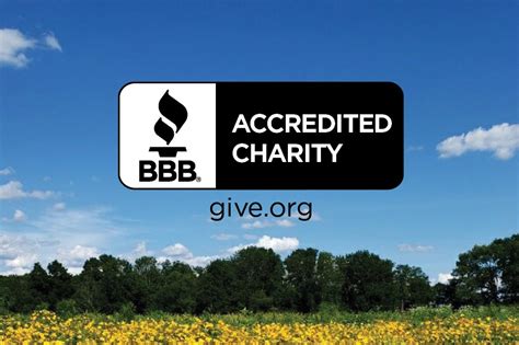 Implementation Guide to BBB Wise Giving Alliance Standards for .